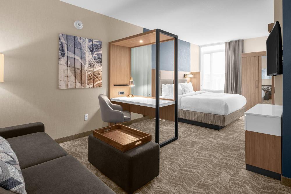 Studio, 1 King, Trundle bed interior